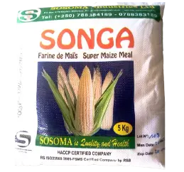 Songa 1